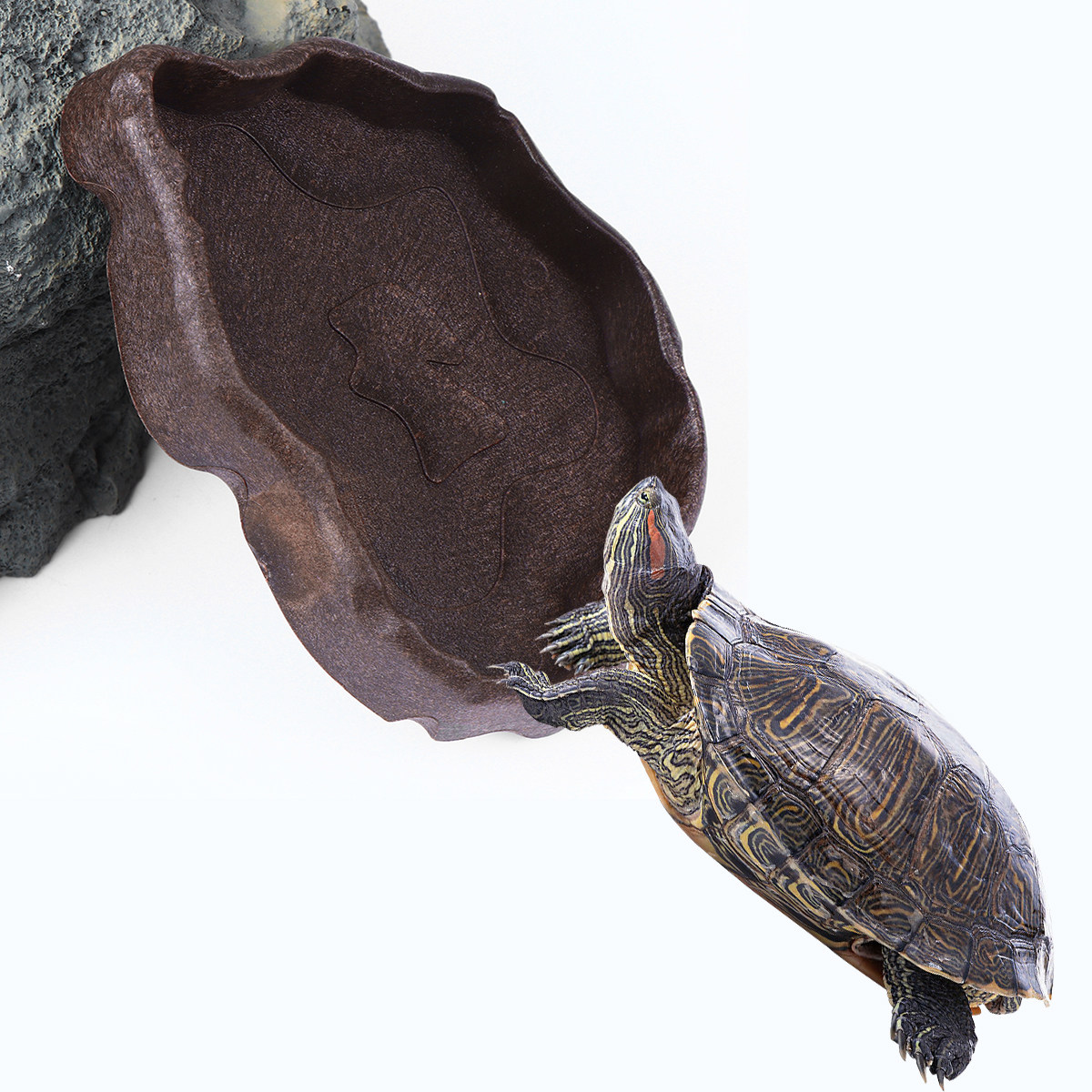 Reptile Resin Food Dish Coffee - Water Dish Reptile recension och pris
