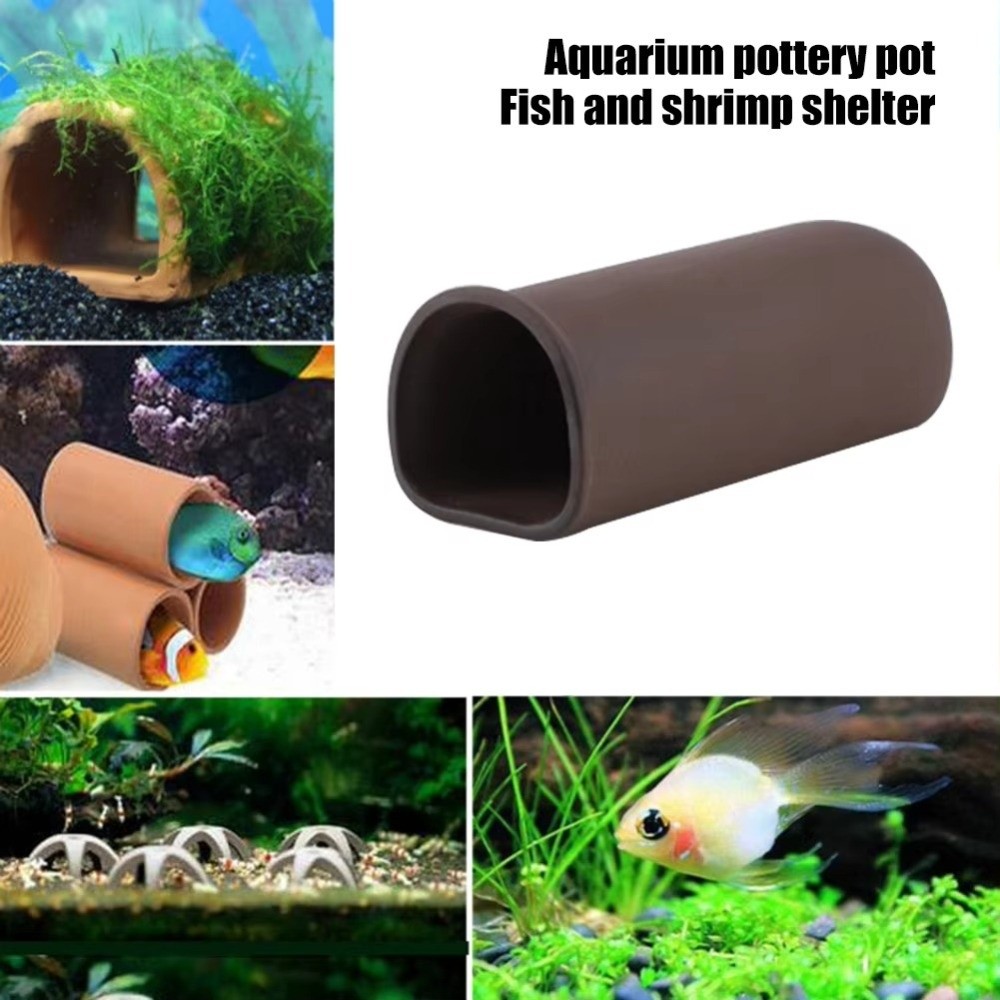 Playing Breeding Spawning Aqua - Hide Cave Ceramic recension och pris
