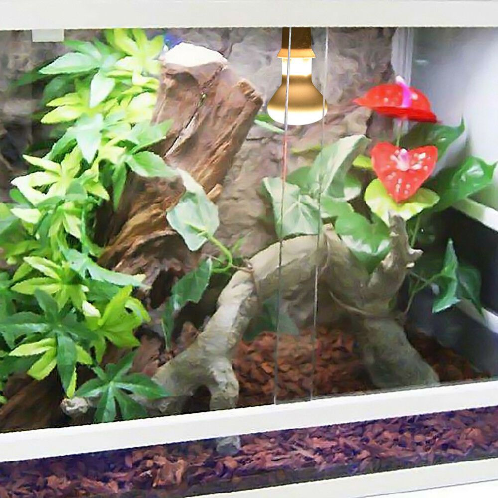 Lizard Temperature Controller  - Basking Bulb Halogen recension och pris
