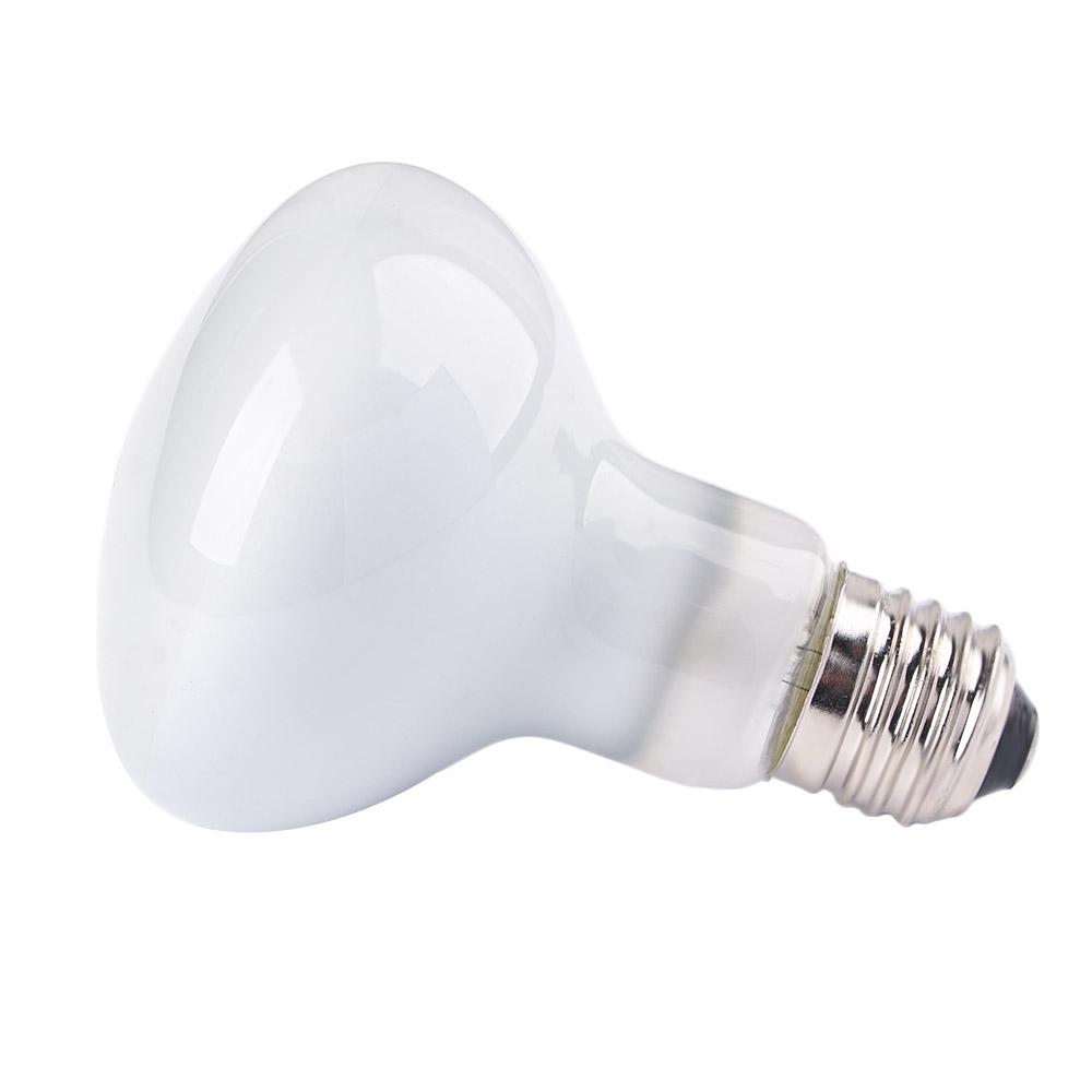 Amphibians Heater Heat Lamp UV - Basking Bulb Halogen recension och pris