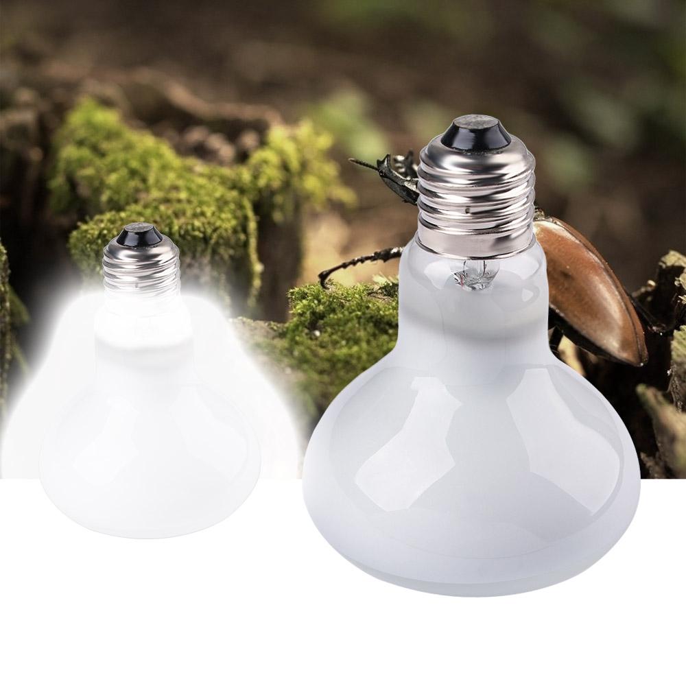 Amphibians Heater Heat Lamp UV - Basking Bulb Halogen recension och pris
