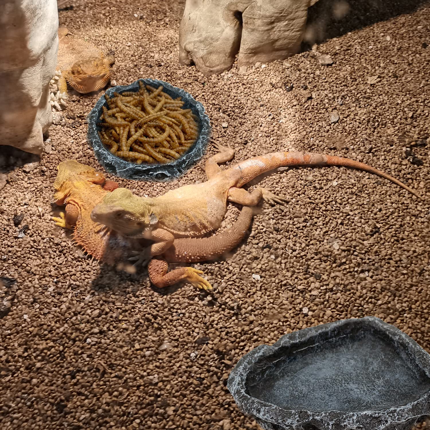 1/2 Pack Reptile Feeding Dish  - Water Dish Reptile recension och pris