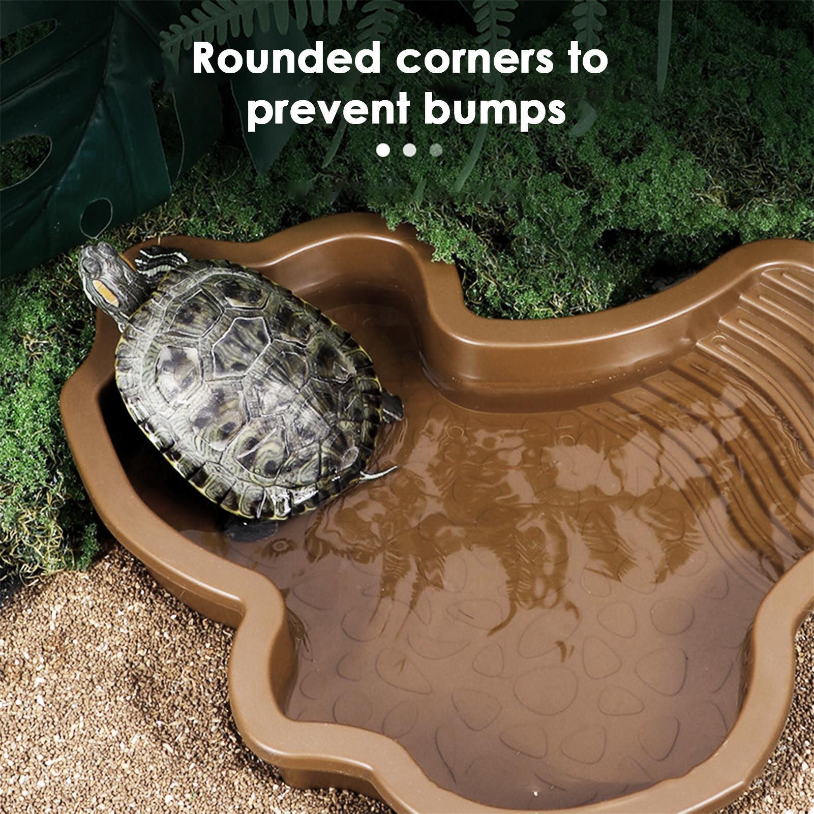 Reptile Bathing Pool with Ramp - Water Dish Reptile recension och pris