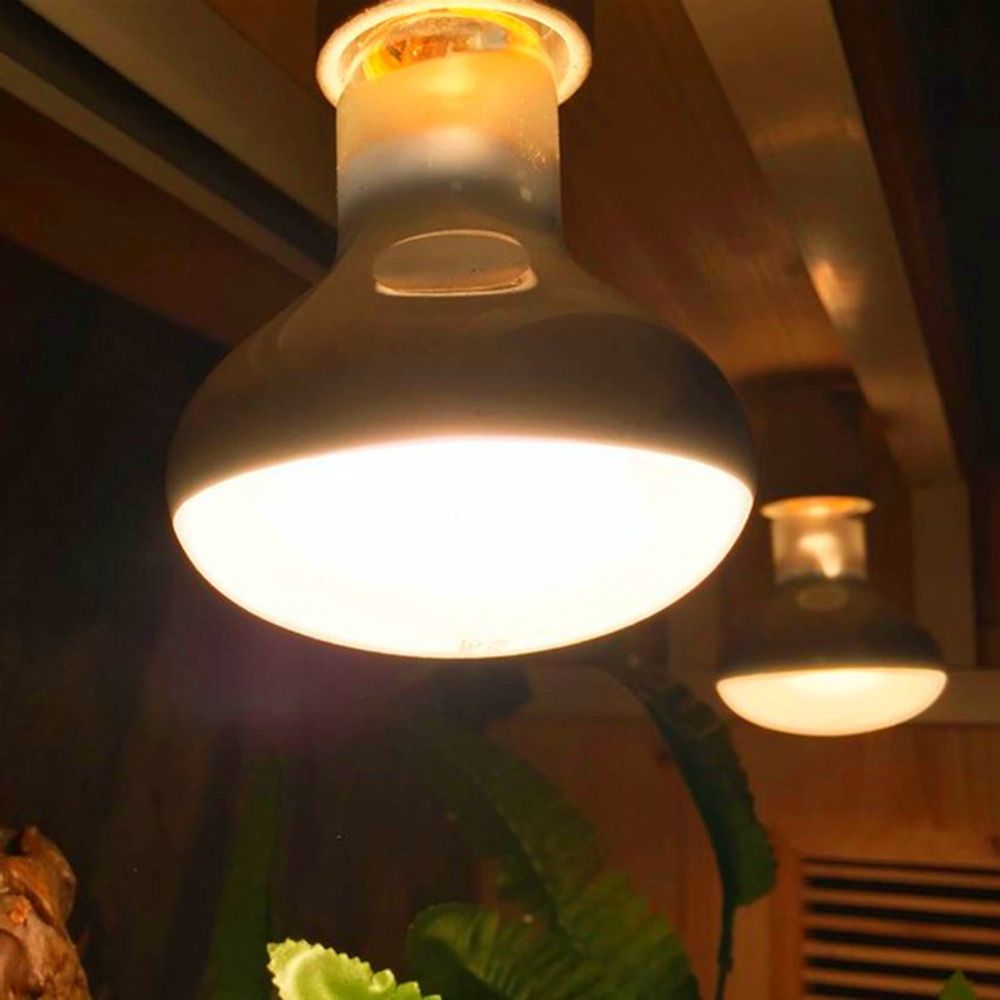 Turtle Temperature Controller  - Basking Bulb Halogen recension och pris