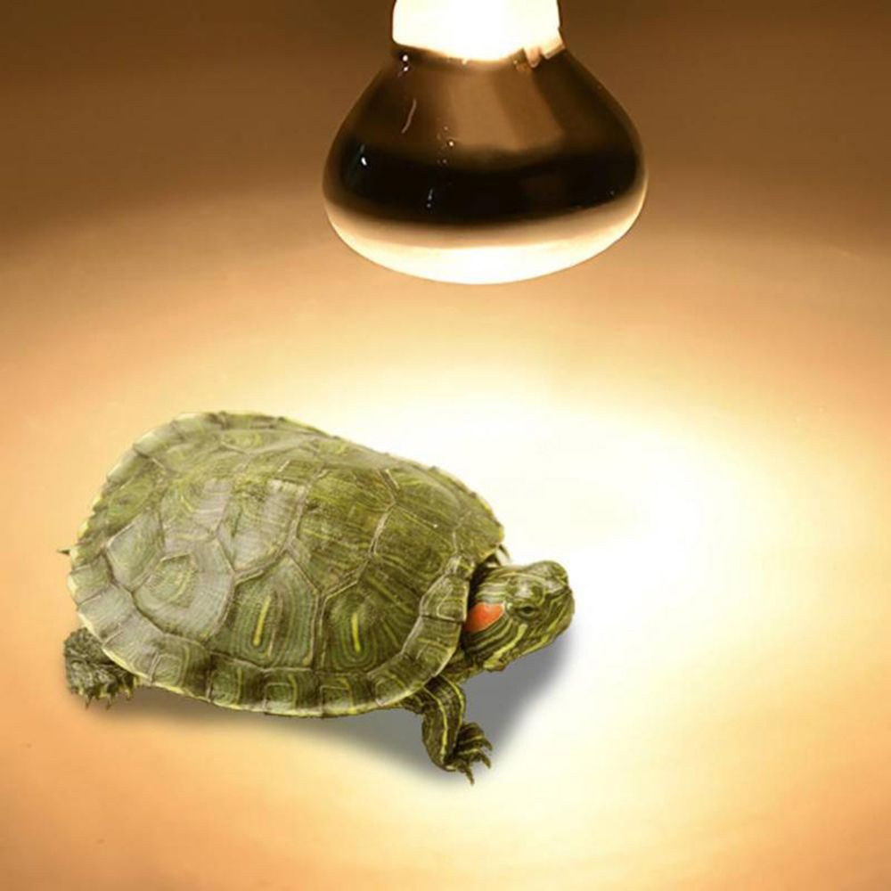 Turtle Temperature Controller  - Basking Bulb Halogen recension och pris