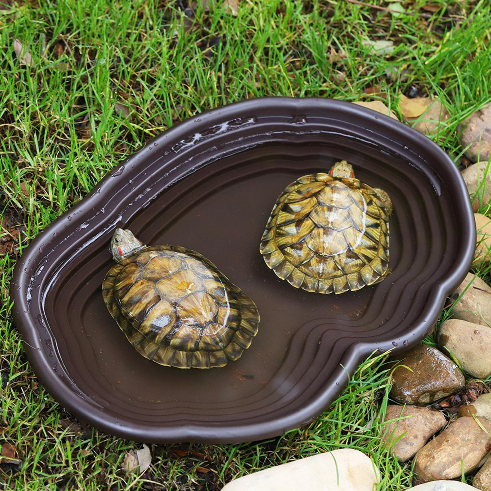 Reptile Bathing Dish Tortoise  - Water Dish Reptile recension och pris