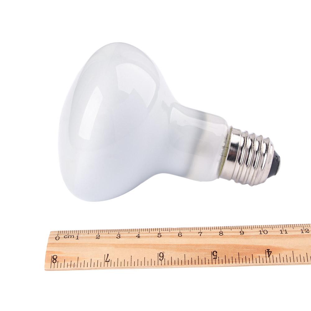 Turtle Heater Temperature Cont - Basking Bulb Halogen recension och pris