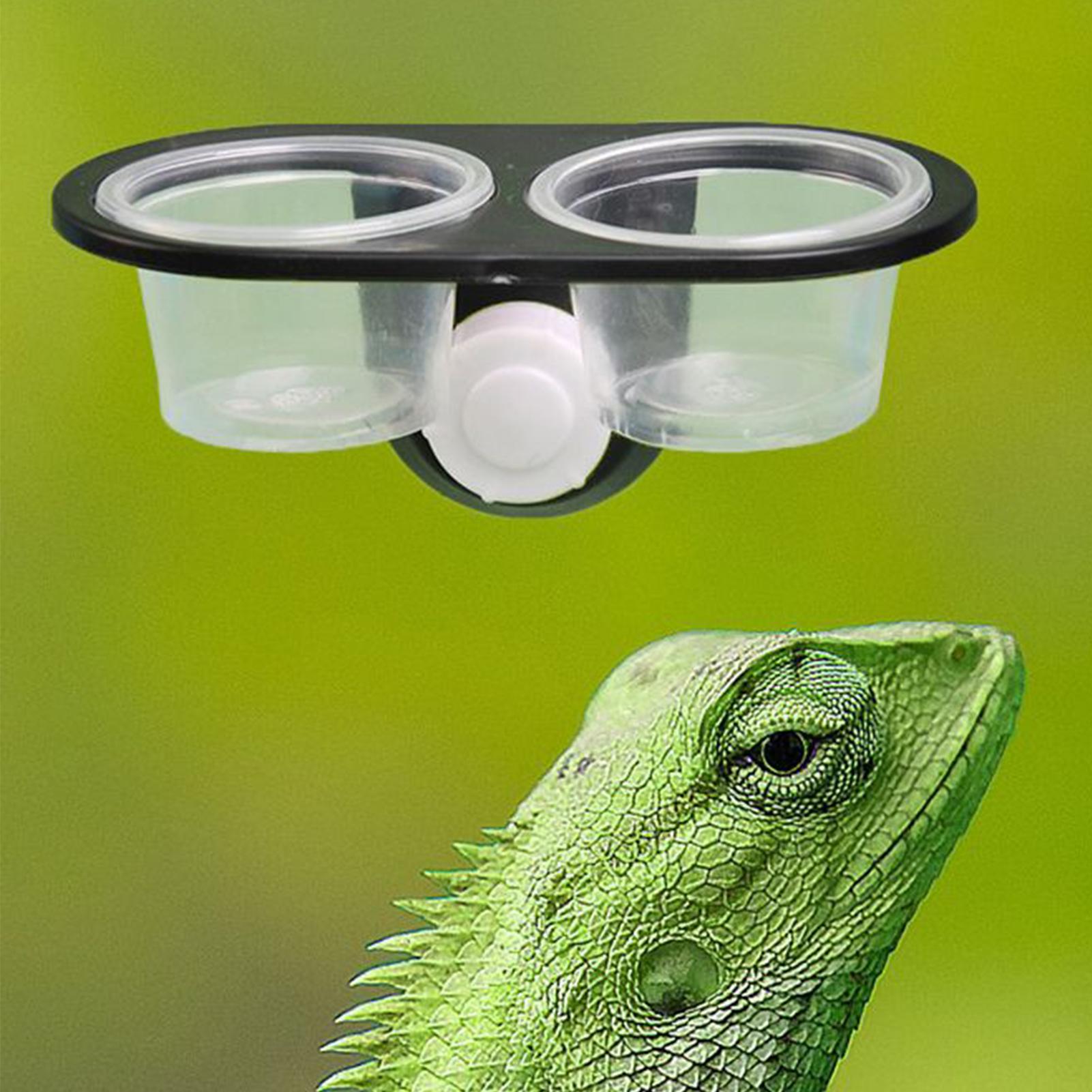 Gecko Food Dish Gecko Feeding  - Water Dish Reptile recension och pris