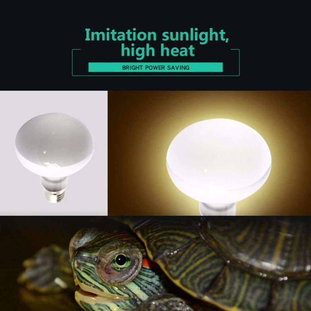 Turtle Heater Temperature Cont - Basking Bulb Halogen recension och pris