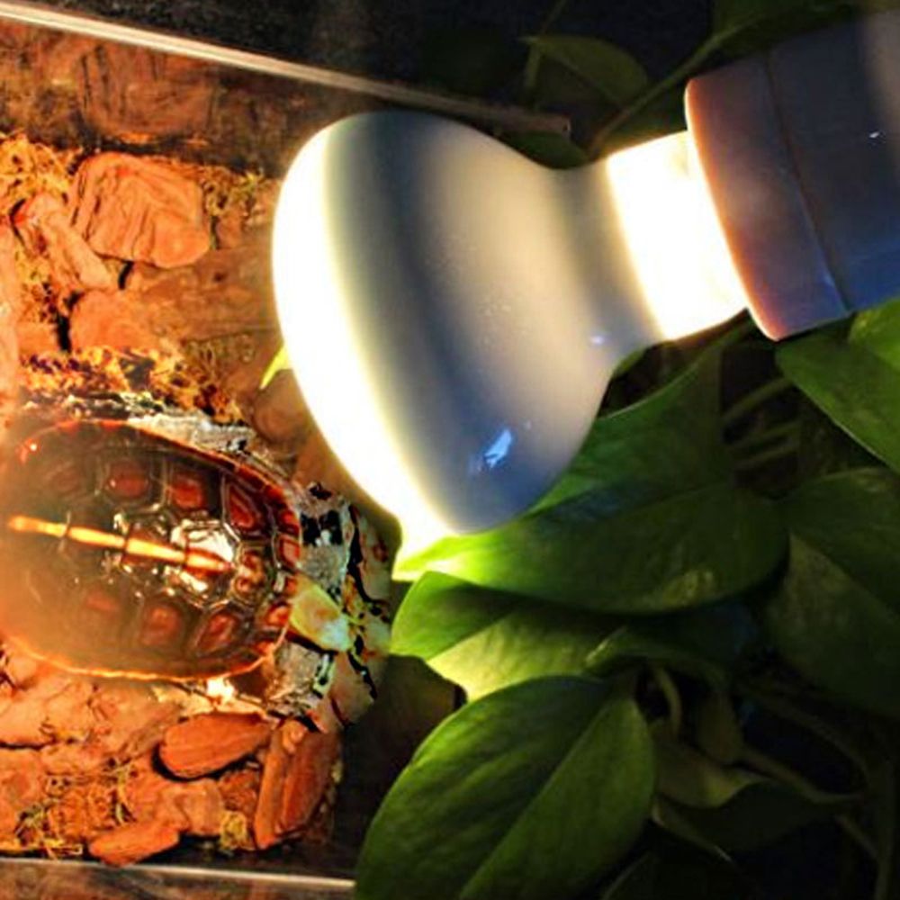 Turtle Heater Temperature Cont - Basking Bulb Halogen recension och pris