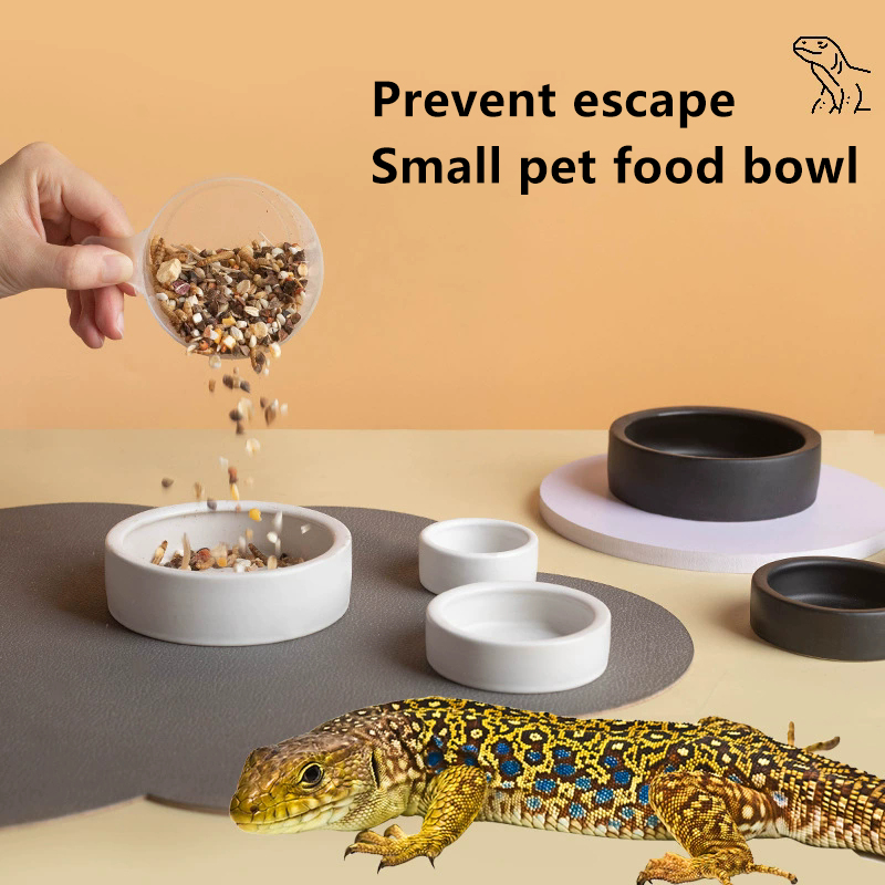 HOT! Reptile Food Bowl Anti-Es - Water Dish Reptile recension och pris