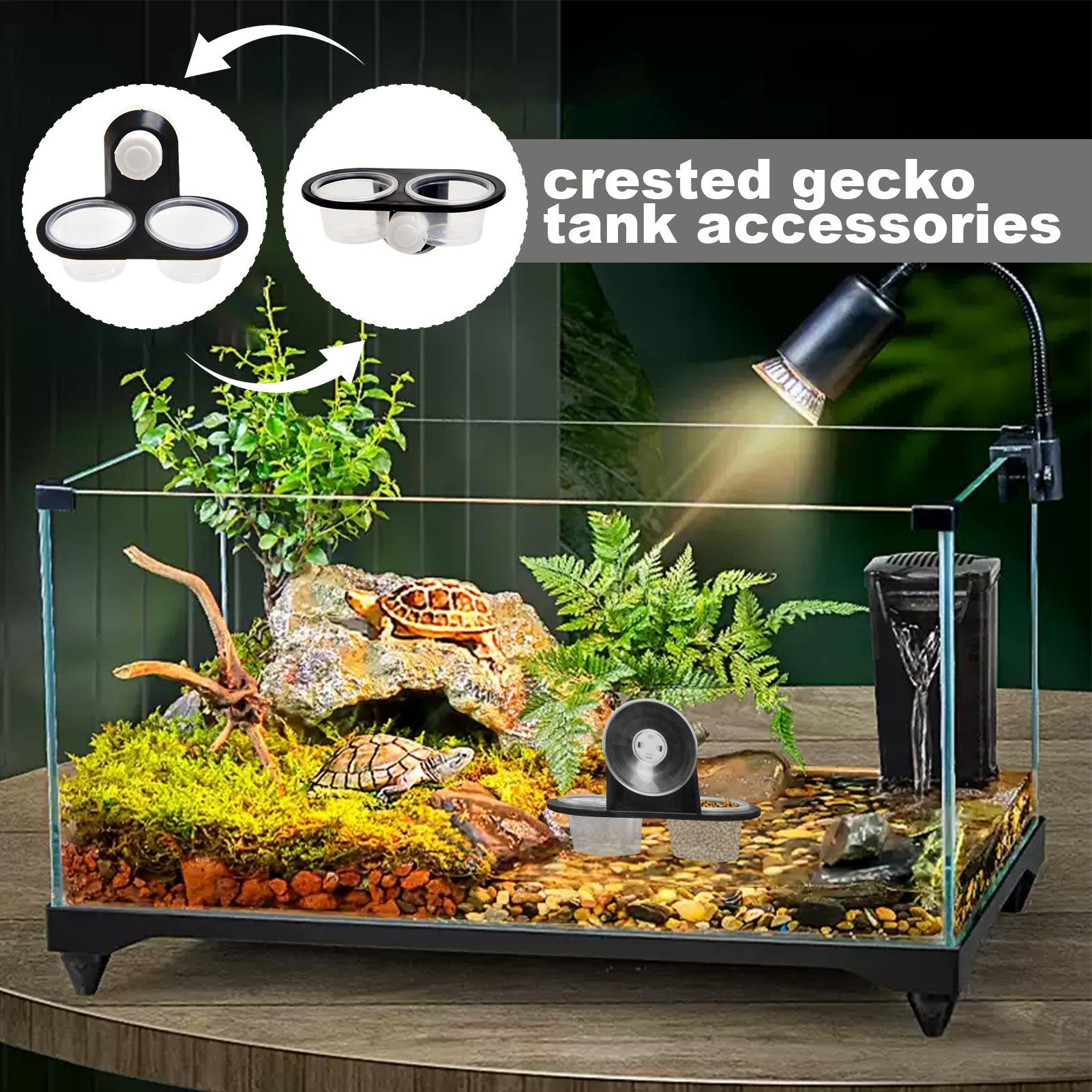 Gecko Feeder Ledge with Detach - Water Dish Reptile recension och pris