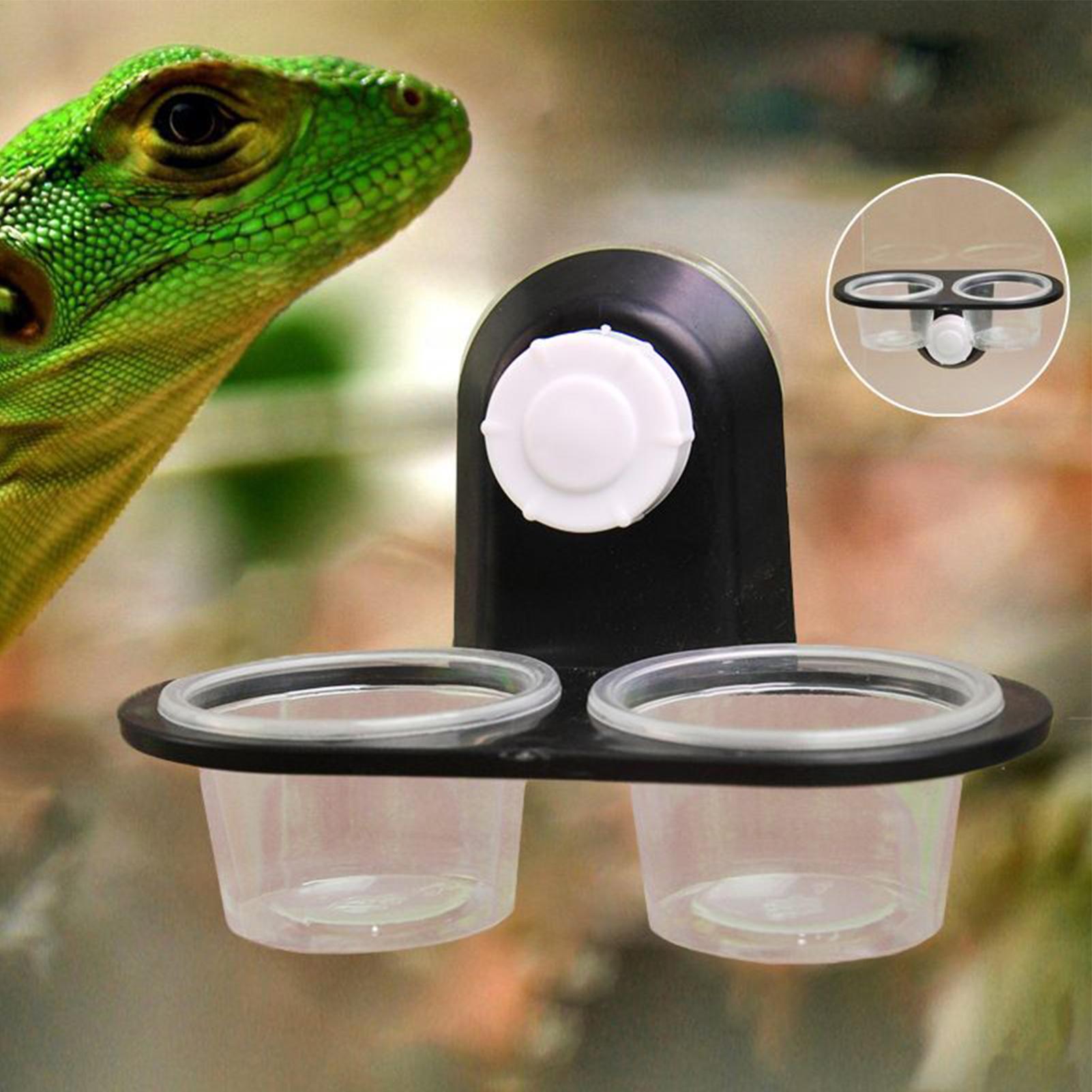 Gecko Feeder Ledge with Detach - Water Dish Reptile recension och pris
