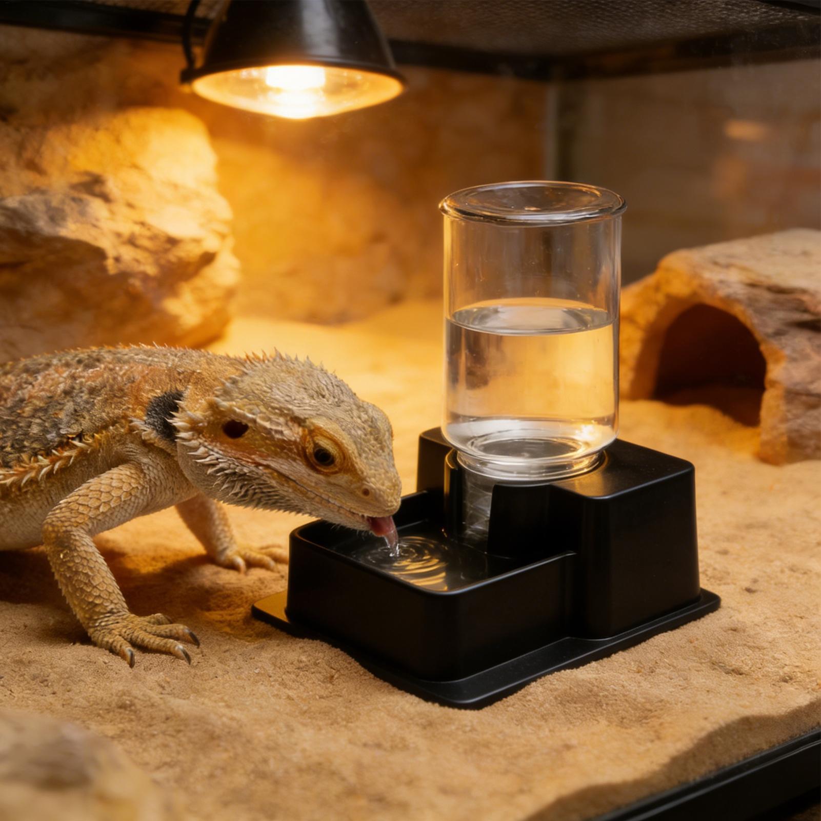 Bearded Dragon Water Fountain  - Water Dish Reptile recension och pris