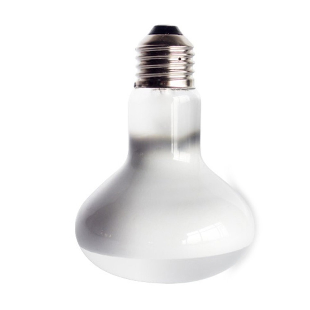 Turtle Temperature Controller  - Basking Bulb Halogen recension och pris