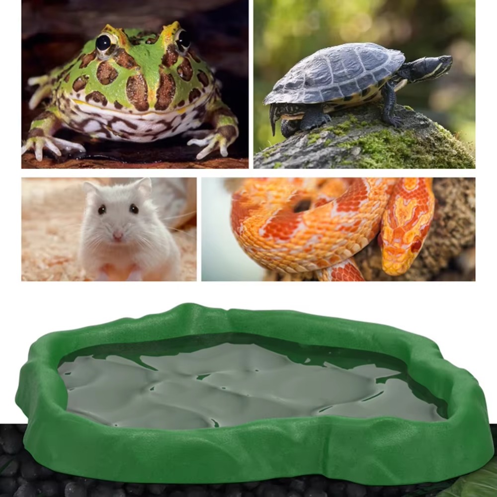 ABS Resin Reptile Feeder Bowl  - Water Dish Reptile recension och pris