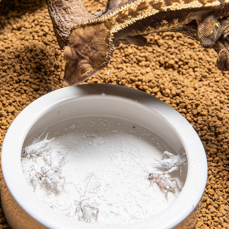 SuperRep Reptile Calcium Pro-V - Vitamin D3 Reptile recension och pris