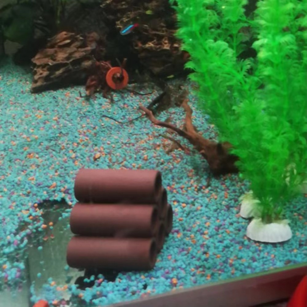 Playing Breeding Spawning Aqua - Hide Cave Ceramic recension och pris